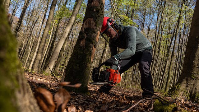 Tree & Brush Equipment